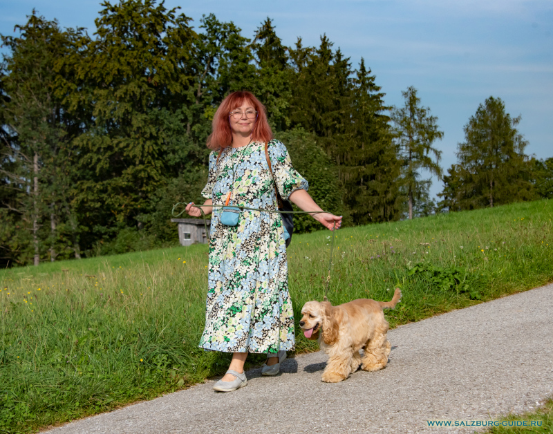 Unser American Cocker Spaniel Johnny