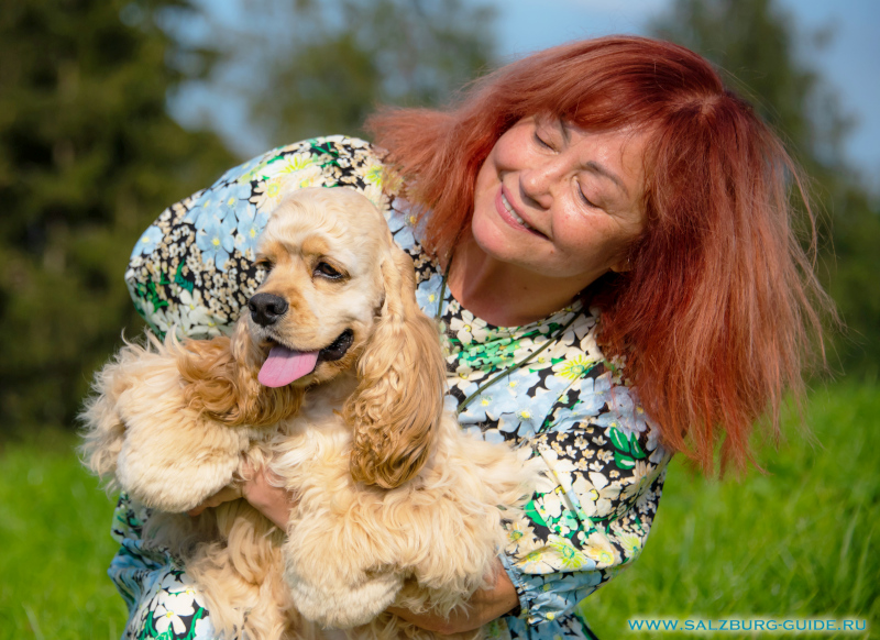 Unser American Cocker Spaniel Johnny