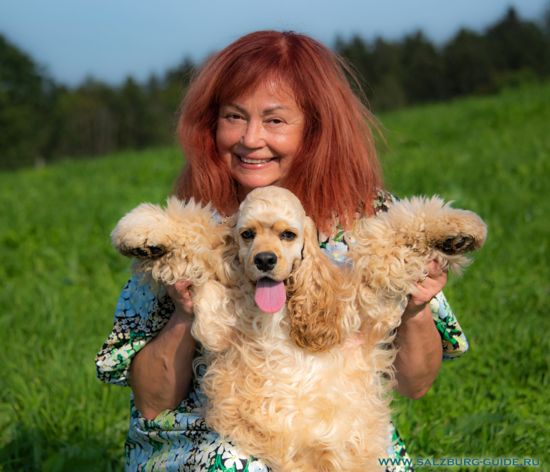 Unser American Cocker Spaniel Johnny